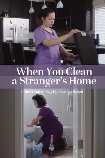 When You Clean a Stranger's Home movie poster - Entertainment content