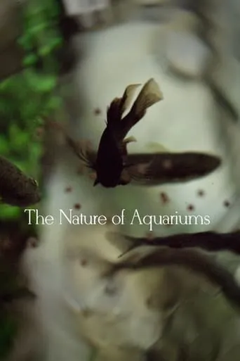The Nature of Aquariums movie poster - Entertainment content