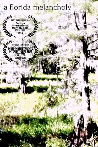 A Florida Melancholy movie poster - Rated 10/10