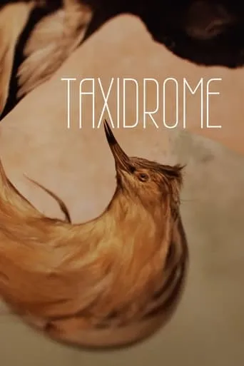 Taxidrome movie poster - Rated 10/10