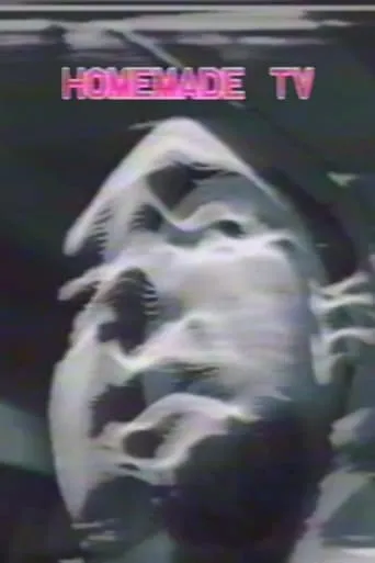 Homemade TV: Vasulkas II movie poster - Entertainment content