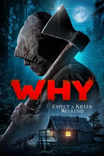 Why? movie poster - Rated 4.1/10