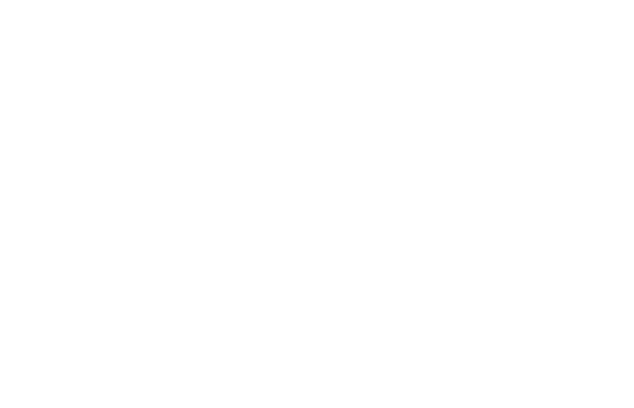 Silver Linings Playbook