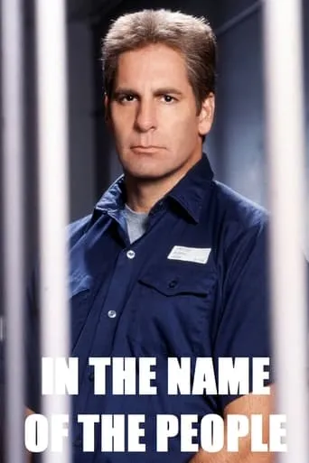 In the Name of the People movie poster - Rated 1/10