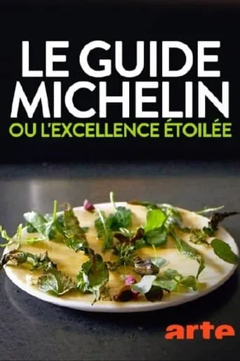 Le guide Michelin ou l'excellence étoilée movie poster - Entertainment content