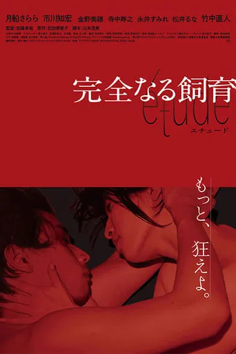 Perfect Education: étude movie poster - Rated 3/10