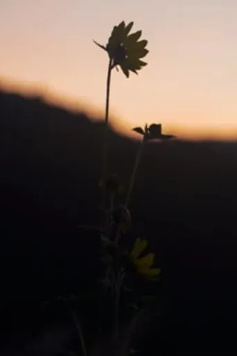 The Dawn Chorus movie poster - Entertainment content