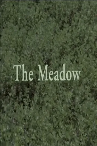 The Meadow movie poster - Entertainment content