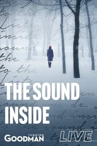 The Sound Inside movie poster - Entertainment content