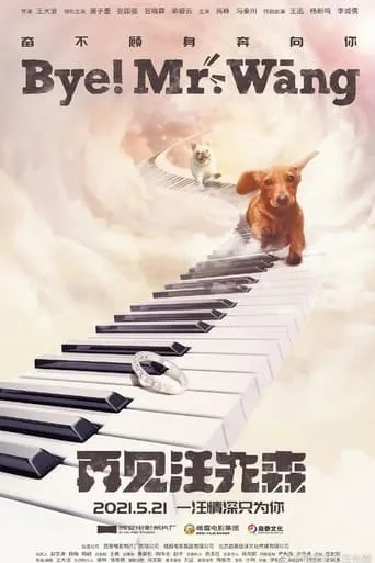 Bye, Mr Wang! movie poster - Entertainment content