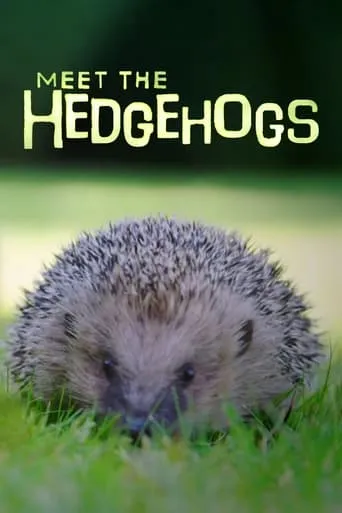 Meet the Hedgehogs movie poster - Entertainment content