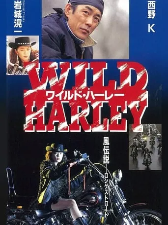 Wild Harley movie poster - Entertainment content
