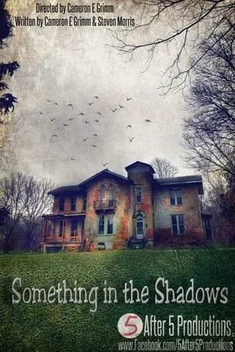 Something in the Shadows movie poster - Rated 1/10