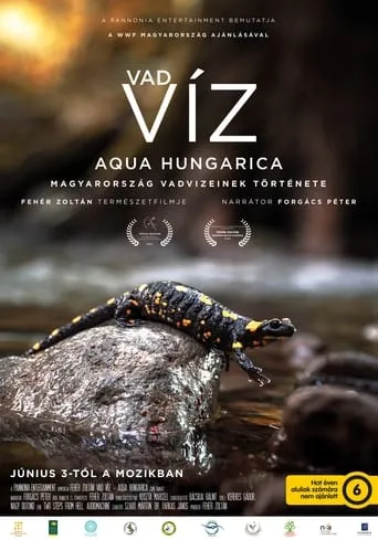 Where Rivers Run Wild: Aqua Hungarica movie poster - Rated 10/10
