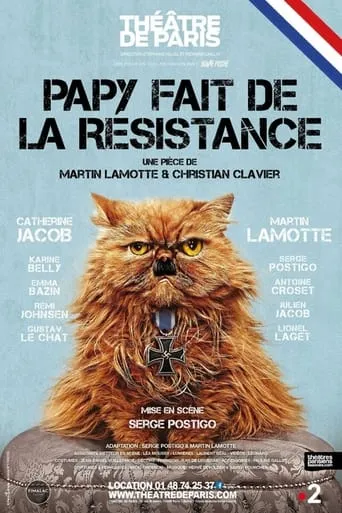 Papy fait de la résistance movie poster - Rated 6/10