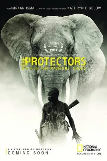The Protectors movie poster - Rated 5/10