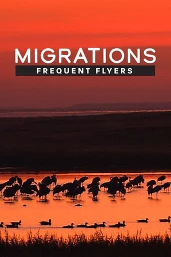 Migrations: Frequent Flyers movie poster - Rated 10/10