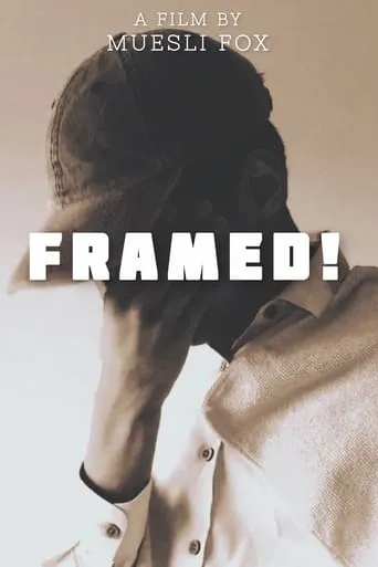 Framed! movie poster - Rated 10/10