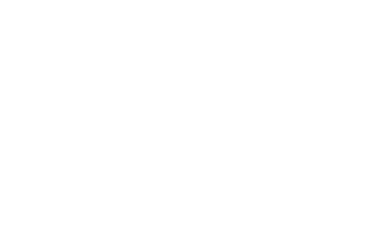 Down with the King
