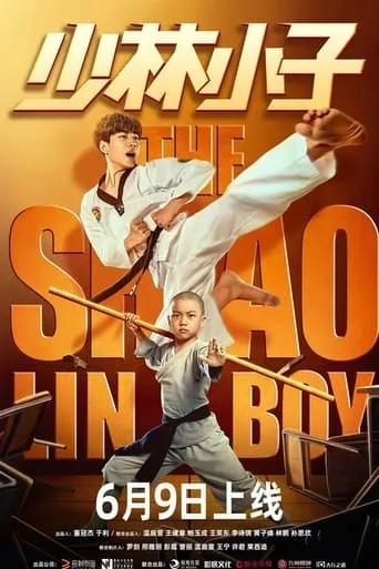 The Shaolin Boy movie poster - Rated 7.8/10