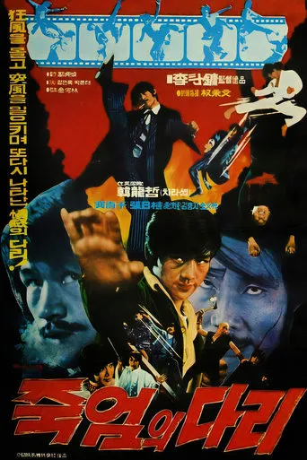 Bridge of Death movie poster - Rated 5.5/10