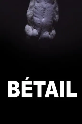 Bétail movie poster - Entertainment content