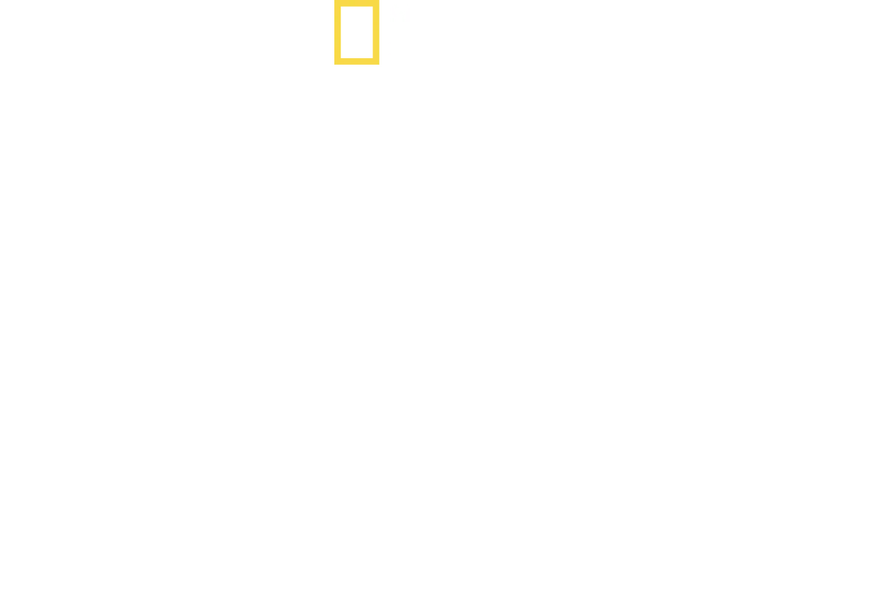 World's Biggest Bull Shark?