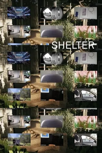 Shelter movie poster - Entertainment content