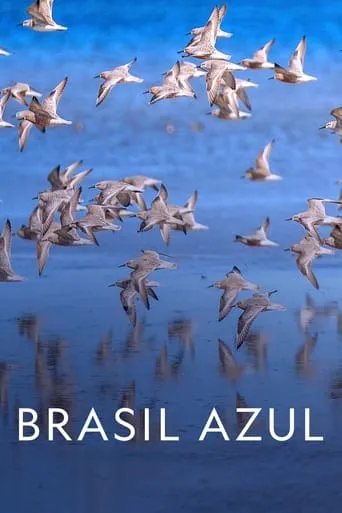Blue Brazil movie poster - Rated 9/10