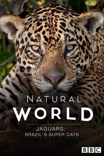 Jaguars: Brazil's Super Cats movie poster - Entertainment content