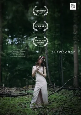 Aufwachen movie poster - Entertainment content