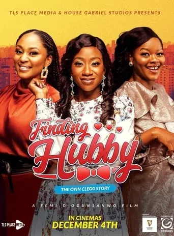 Finding Hubby movie poster - Rated 2.7/10
