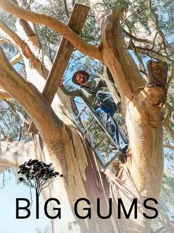 Big Gums movie poster - Entertainment content
