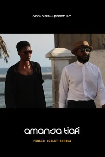Public Toilet Africa movie poster - Rated 5.3/10