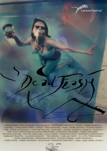Dead Flash movie poster - Rated 1/10