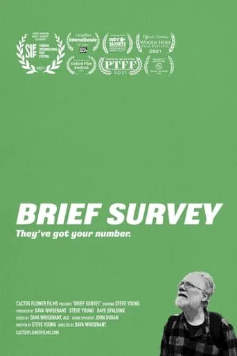 Brief Survey movie poster - Entertainment content