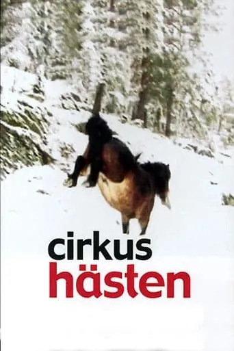 The Circus Horse movie poster - Entertainment content