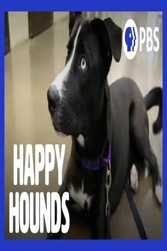Happy Hounds movie poster - Entertainment content
