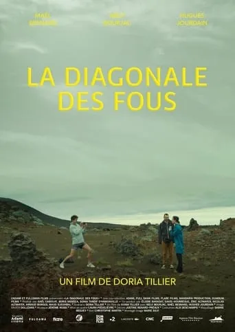 La diagonale des fous movie poster - Rated 7/10