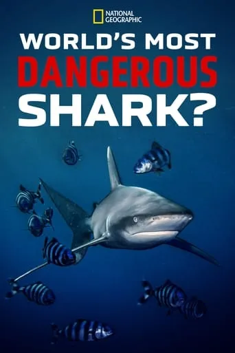 World's Most Dangerous Shark? movie poster - Rated 6/10