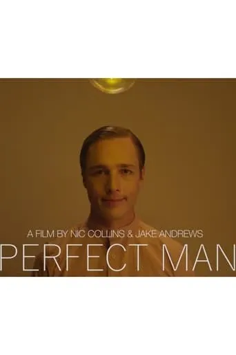 Perfect Man movie poster - Rated 1/10