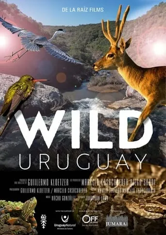 Wild Uruguay movie poster - Entertainment content