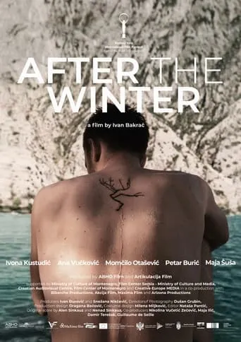 After the Winter movie poster - Entertainment content