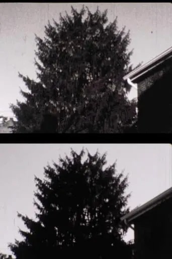43 street Treelapse movie poster - Entertainment content