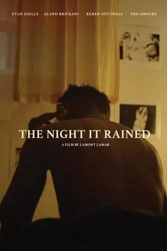 The Night It Rained movie poster - Rated 10/10