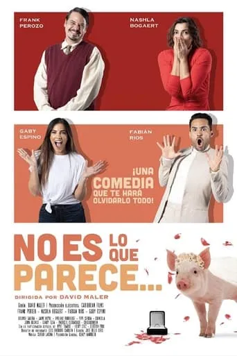 No es lo que parece movie poster - Rated 7/10