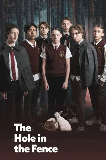The Hole in the Fence movie poster - Rated 6/10