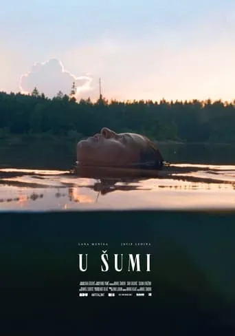 In the Woods movie poster - Rated 2/10