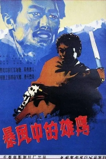 暴风中的雄鹰 movie poster - Entertainment content