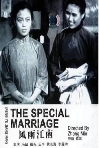 The Special Marriage movie poster - Entertainment content